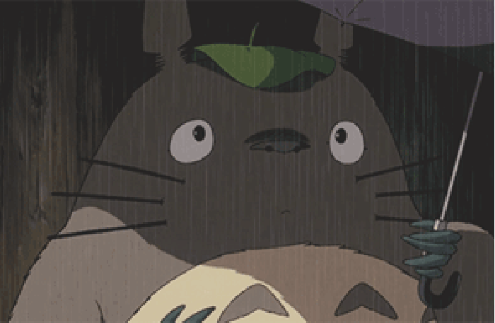 龙猫下雨雨伞绿叶gif动图