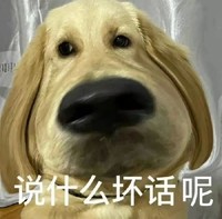 萌宠 狗 说什么坏话呢 大怨种 呆萌 可爱