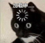 萌宠 猫咪 加载中 呆萌 可爱