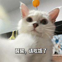 可爱 沙雕 该吃饭了 搞笑 日常