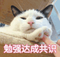 萌宠 猫咪 勉强达成共识 呆萌 可爱