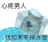 萌宠 狗狗 心疼男人犹如寒冬掉冰窟 呆萌 可爱