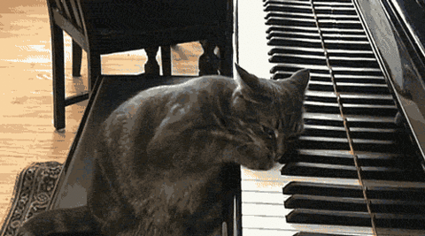 钢琴表情连线图片
