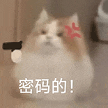 萌寵 貓咪 密碼的 呆萌 可愛