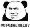 暴漫 熊猫头 你知不知道我已经爱上你了 搞笑 逗 沙雕