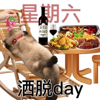 打工人一周 小猫 上班心情 搞笑 逗