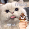 萌宠 猫咪 天气这么热请你吃 呆萌 可爱
