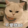 萌宠 猫咪 不爱就88 呆萌 可爱