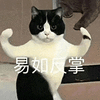 萌宠 猫咪 易如反掌 呆萌 可爱