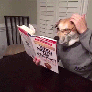 狗狗gif眼镜gif看书gif搞笑gif