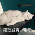 猥琐发育别浪 可爱 沙雕 搞笑