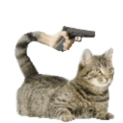 猫meme 猫猫 抽象 搞怪