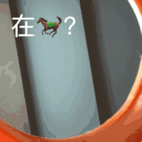 萌宠 猫咪 在吗 呆萌 可爱