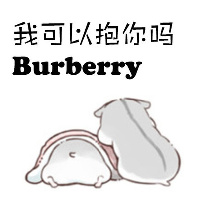 灰仓鼠 这首歌有点贵 抱抱 我可以抱你吗burberry