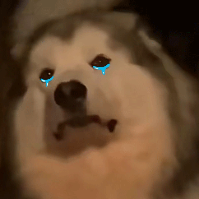 狗狗 哭泣 沙雕 搞笑