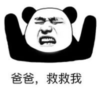 暴漫 熊猫头 爸爸救救我 搞笑 逗 沙雕