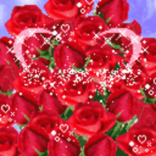 红玫瑰花开动态图图片