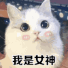 可爱 搞怪 我是女神 逗