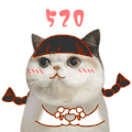 萌宠 猫 520