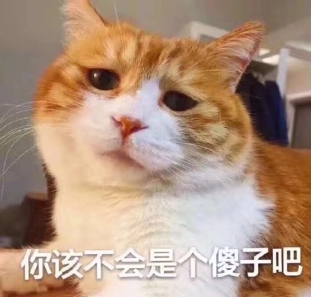 猫沙雕表情包傻吊图片