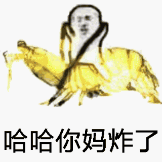 哈哈你妈炸了