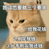 萌宠 猫咪 我谈恋爱就三个要求 给我花钱 别花我钱 分手别叫我还钱 呆萌 可爱
