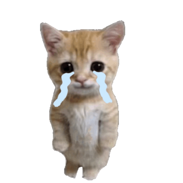 哭泣猫猫头表情包模板图片