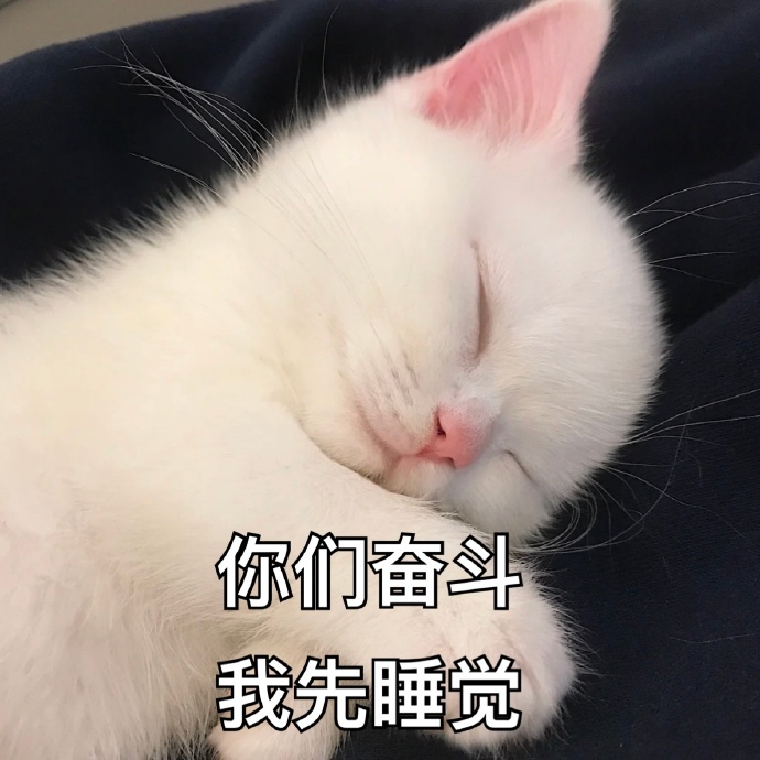 萌宠gif猫星人gif你们奋斗gif我先睡觉gif呆萌gif可爱gif