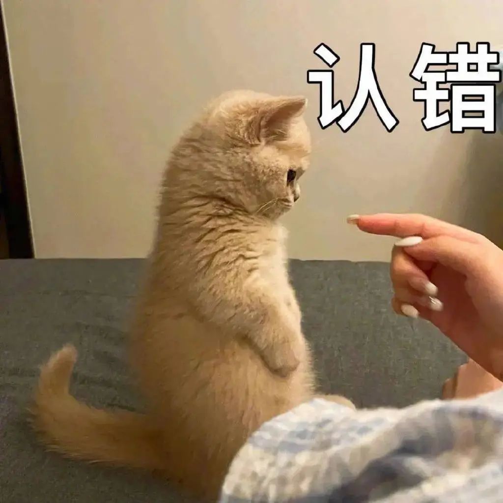 萌宠 猫咪 认错 呆萌 可爱