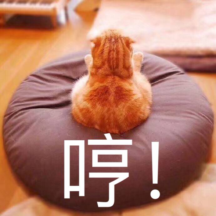 哼gif猫咪gif可爱gif背影gif生气gif