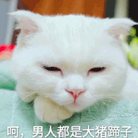 大猪蹄子图片