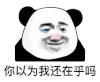 暴漫 熊猫头 你以为我该在乎吗 搞怪 逗