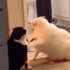 萌宠 可爱 沙雕 搞笑 猫咪 猫