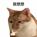 萌宠 猫咪 我想想 呆萌 可爱