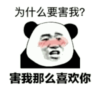 暴漫 熊猫头 沙雕 搞笑 逗