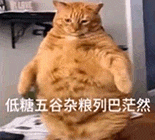 萌寵 貓咪 低糖五谷雜糧列巴茫然 呆萌 可愛