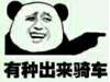 暴漫 熊猫头 有种出来骑车 搞笑 逗 沙雕