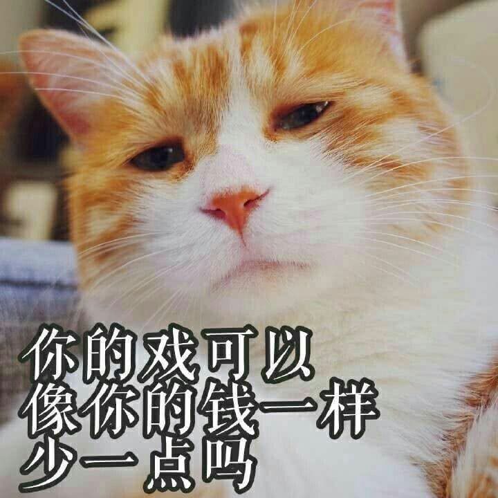 猫喵星人铲屎官猫咪gif动图_动态图_表情包下载_soogif