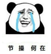 暴漫 熊猫头 节操何在 搞笑 逗 沙雕