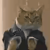 萌宠 猫咪 打你 呆萌 可爱
