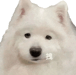 搞怪 抽象 沙雕 狗狗