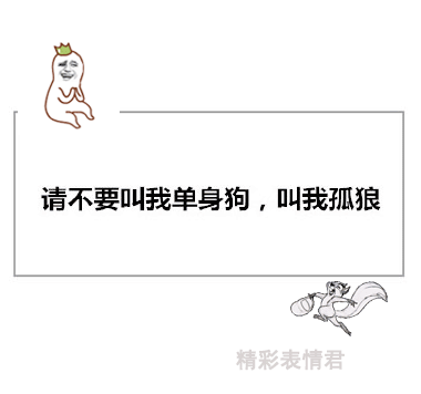 可爱 搞笑 请不要叫我单身狗,叫我孤狼