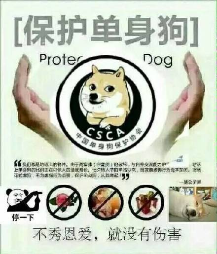 狗粮保护单身狗不秀恩爱就没有伤害gif动图