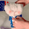 萌宠 猫咪 挠痒 呆萌 可爱