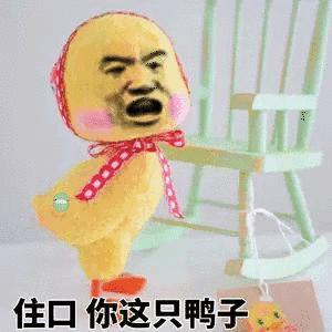 小黄鸭表情包 文字图片