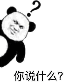 你说什么