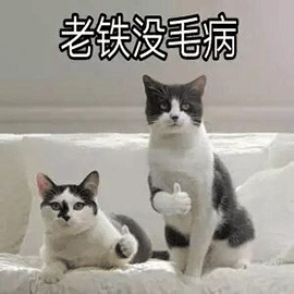 萌宠