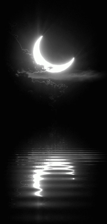 月亮水面水中月夜晚唯美gif动图