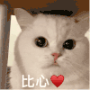萌宠 猫咪 比心 呆萌 可爱