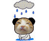 猫咪 搞怪 沙雕 逗